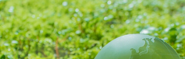 サステナビリティ banner