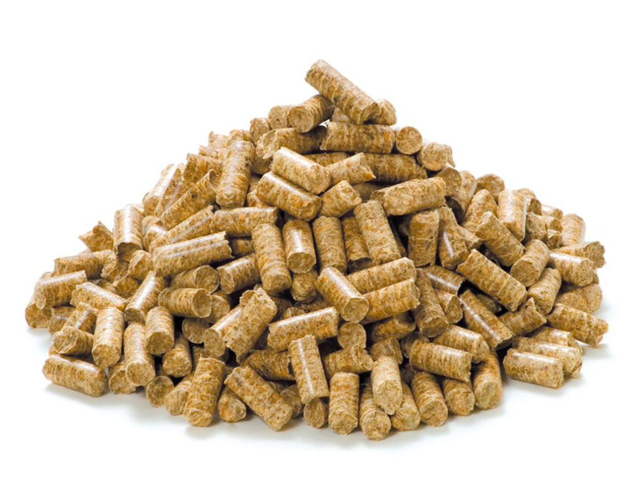 Biomass fuel business